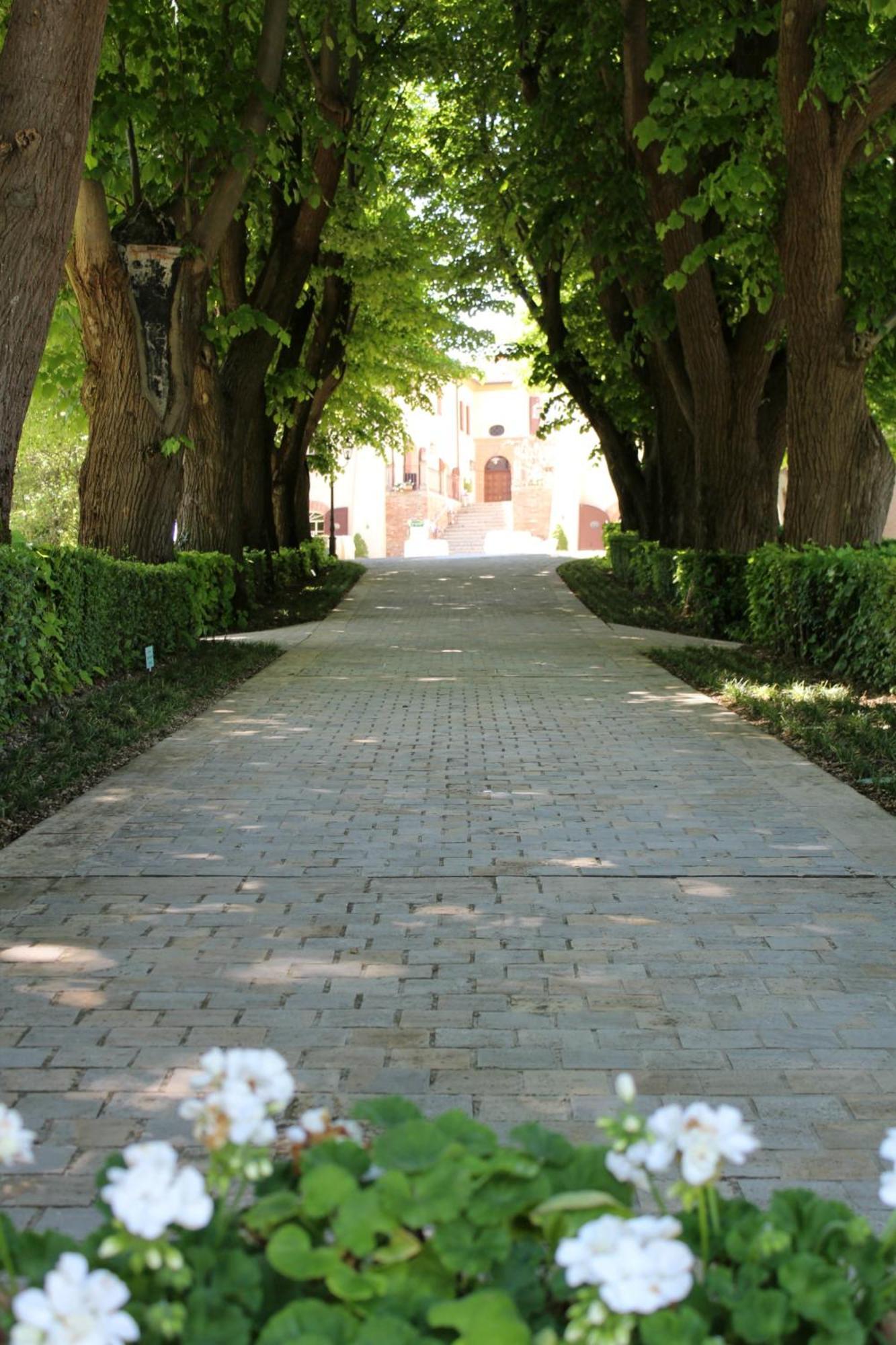 Palazzo Del Poggiano Bed and Breakfast Poggio Berni Buitenkant foto